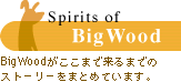 Spirits of BigWood ｜ BigWoodがここまで来るまでのストーリーをまとめています。